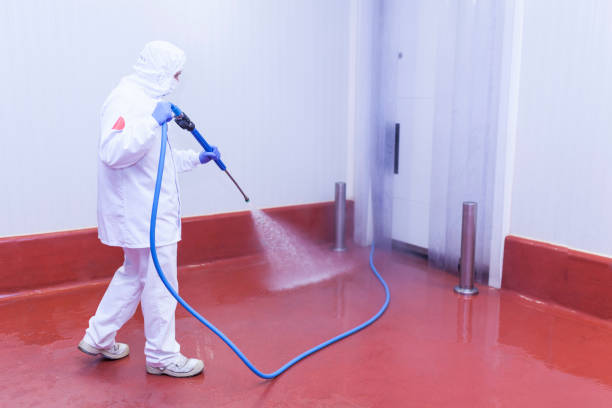 Best Building Exterior Pressure Washing in Morn, GA